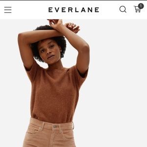 Brand New Everlane Alpaca Sweater Tee